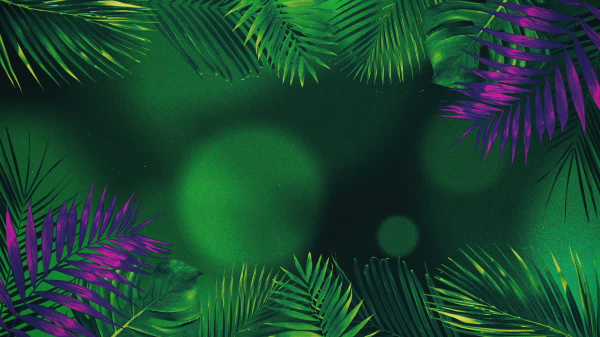 Vibrant Palms 6