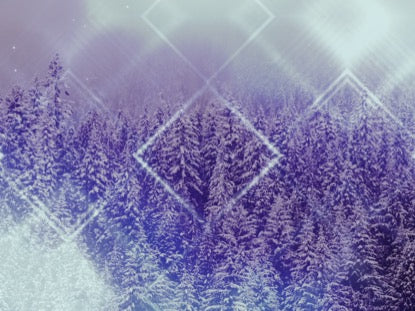 Winter Trails 2 Purple Motion