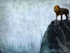 Lion On Mountain