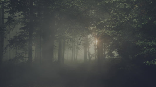 Lumberjack Dad Foggy Still