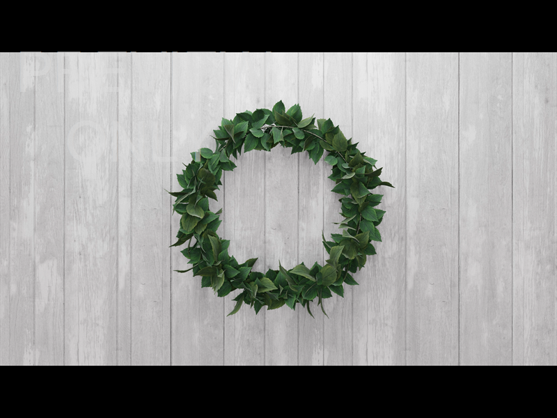 Summer Wreath Still 13