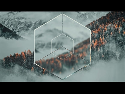 Winter Solstice 3