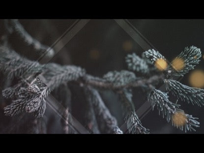 Christmas Glow 1