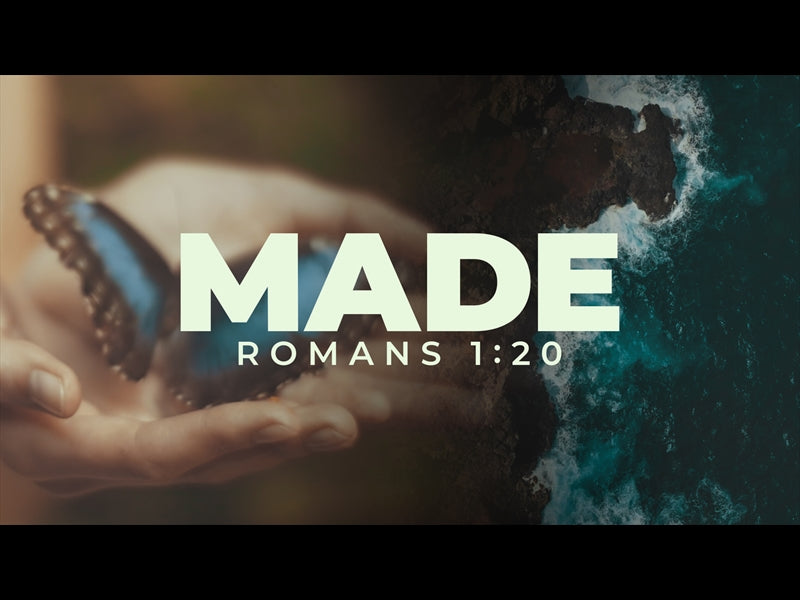 Made (Romans 1:20)