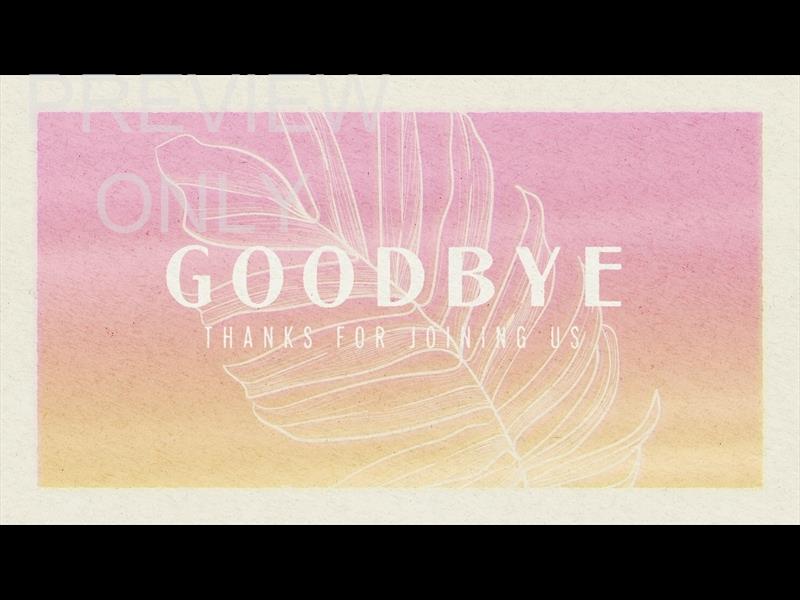 Paper Palm Goodbye Still