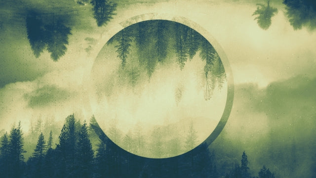 Surreal Landscape 05