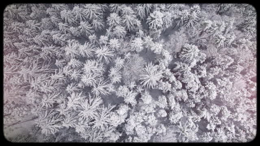 Retro Winter 15