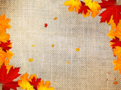 Autumn Leaves 5