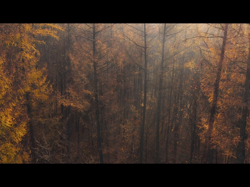 Epic Autumn Aerial Fog Sunset