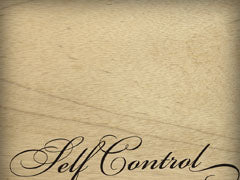 Fruit Of The Spirit: Self Control