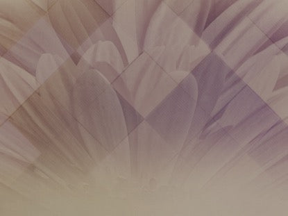 Pastel Flower 1 Motion
