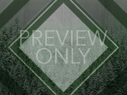 Winter Trails Green Still