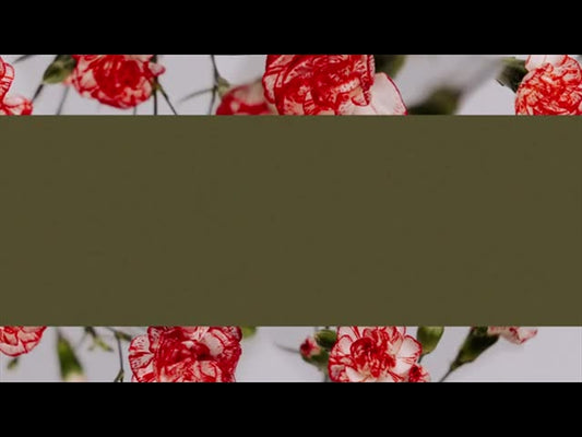 Floral Details Loop 3