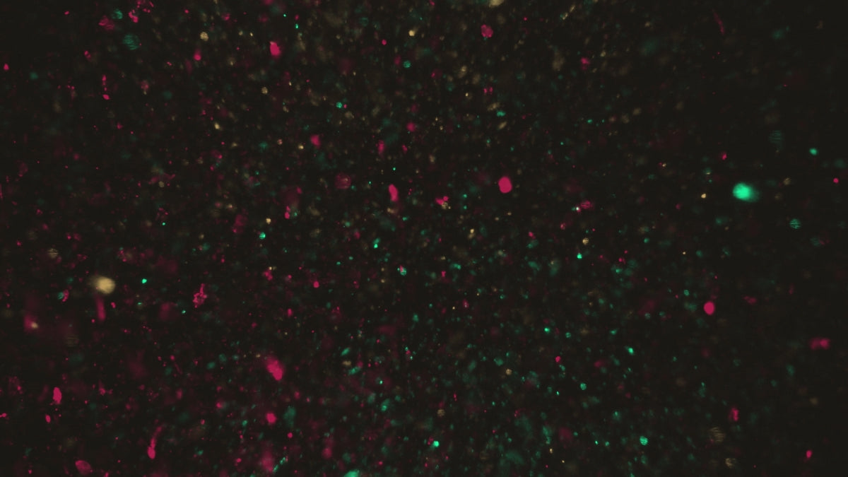 Christmas Glitter 15