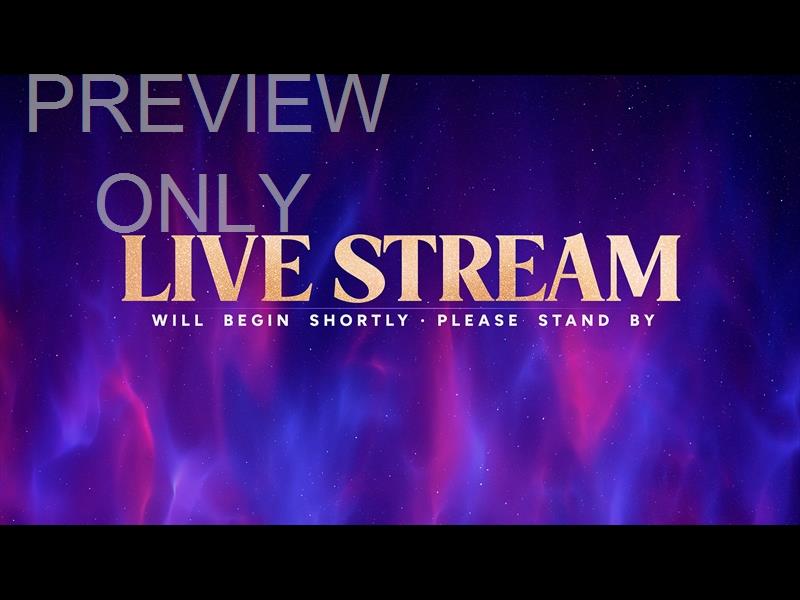 Christmas Wonder Live Stream Still