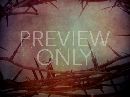 Easter Thorns 3 Still