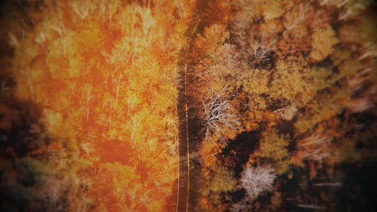 Aerial Journey 1 Still