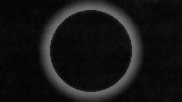 Silhouettes 10