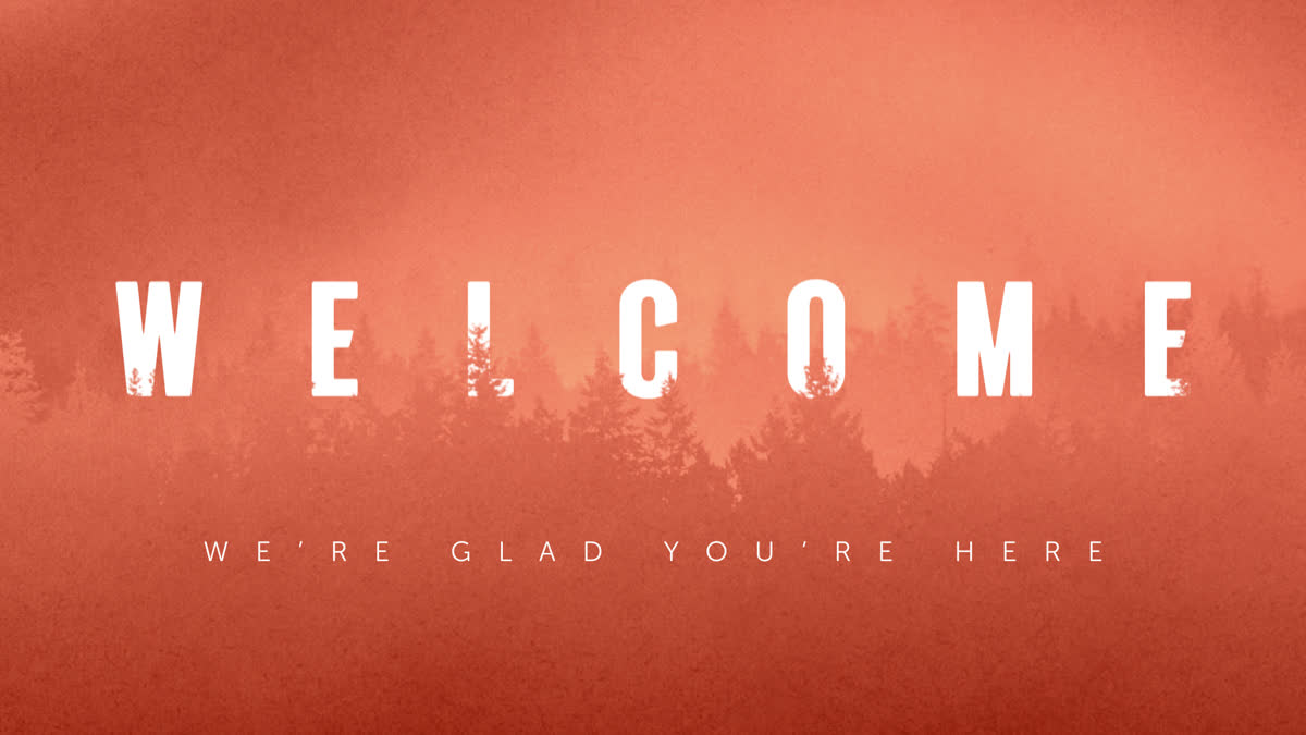 Timberline Still Welcome