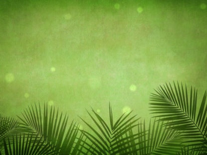 Palm Sunday Grunge Green