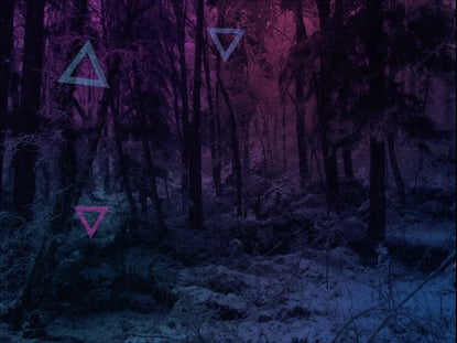 Warm Pink Snowy Forest Color