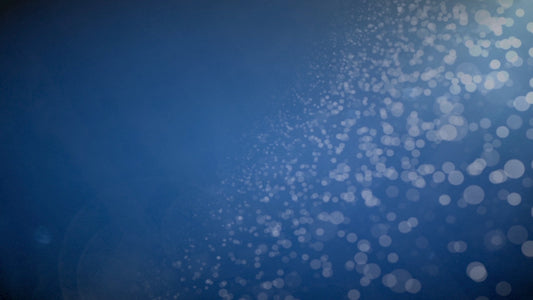 Calm And Bright Still 3