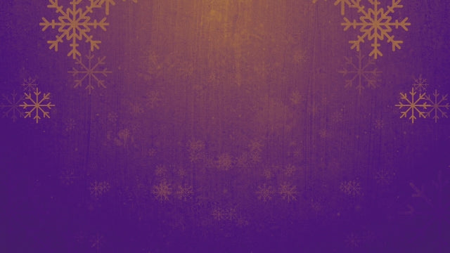 Rustic Winter Snow 08