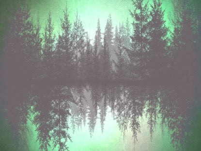 Natures Beauty 7 Motion