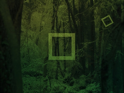 Green Falling Squares