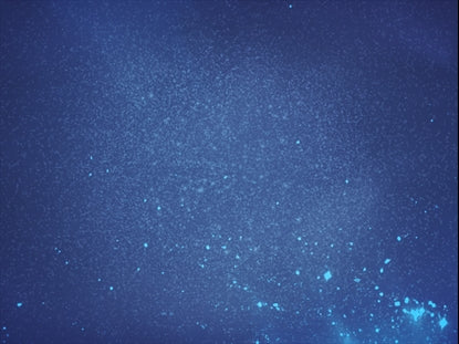 Everlasting Light Motion 11