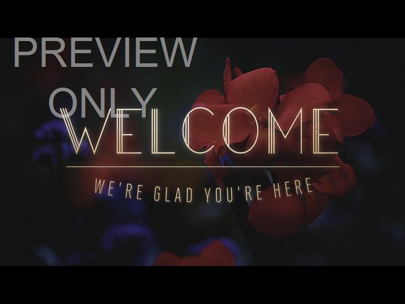 Ebony Floral: Still Welcome