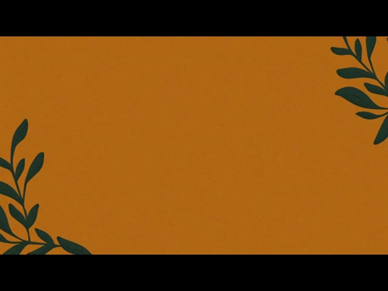 New Beginnings Loop 1