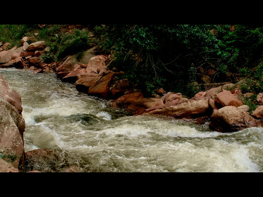 El Dorado Motion 14