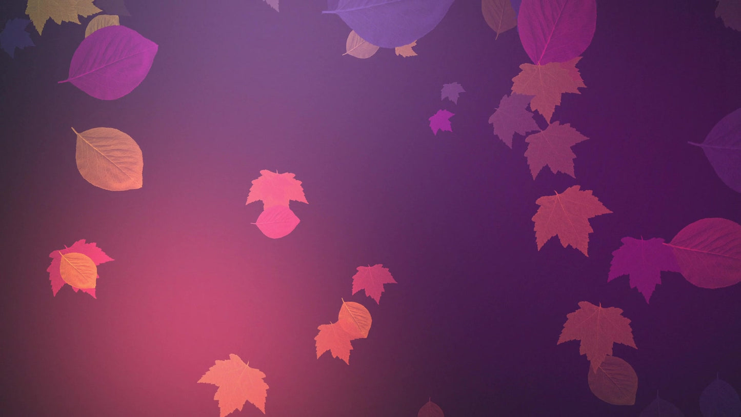 Vibrant Fall 8