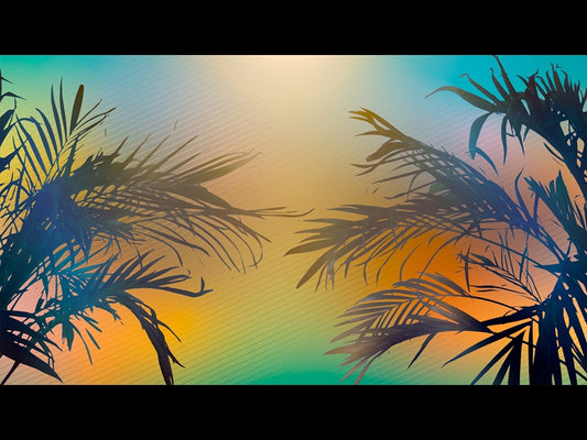 Sun Palms 13