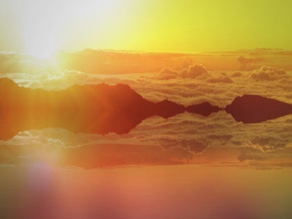 Surrender Of Nature 4 Motion