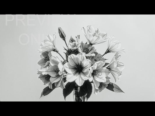 Mothers Day Bw Still 9