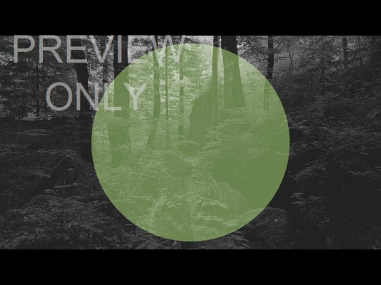 Deep Forest Dense Woods Green Circle Still