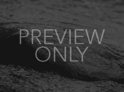 Black And White On The Rocks