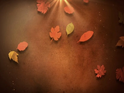 Autumn Light