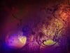 Purple Orange Texture