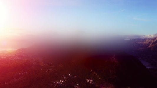 New Beginning Bright Still