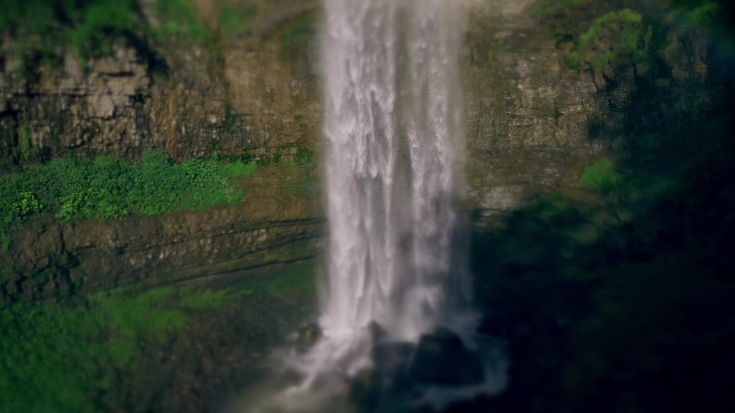 s Force 12 Still
