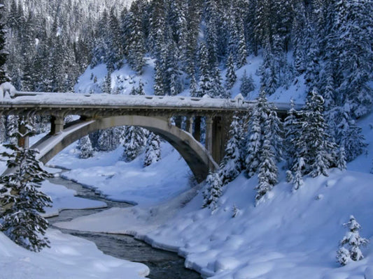 Winter Long Loop