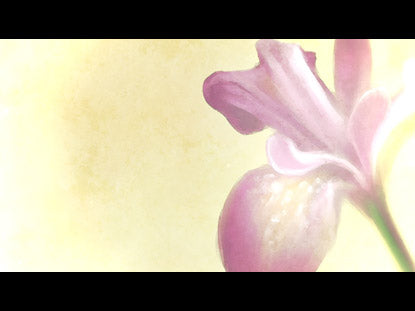 Maternal Eternal Still 4