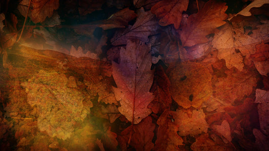 Subtle Fall 03 Still