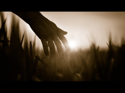 Parables: The Weeds