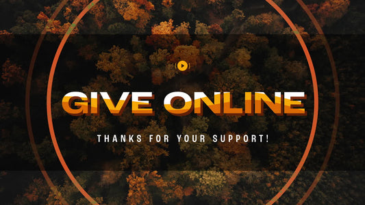 Autumn Foliage Give Stream