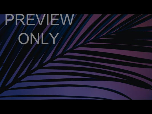 Cinematic Palms Still 5