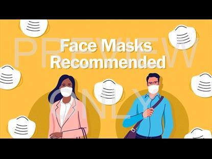 Face Mask